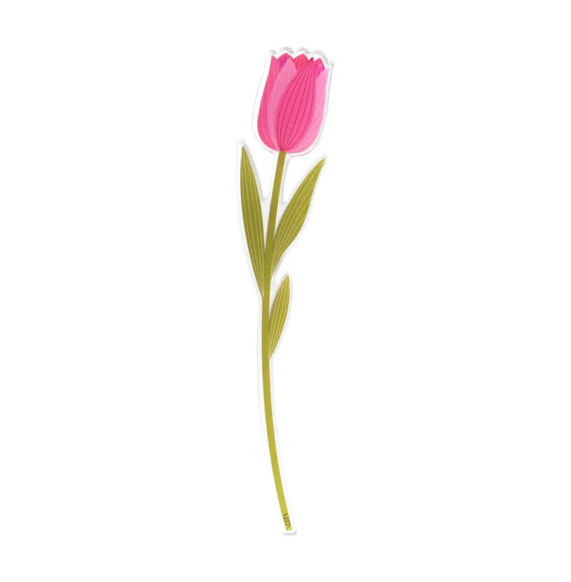 VESTA: FUNNY FLOWER TULIP SMALL