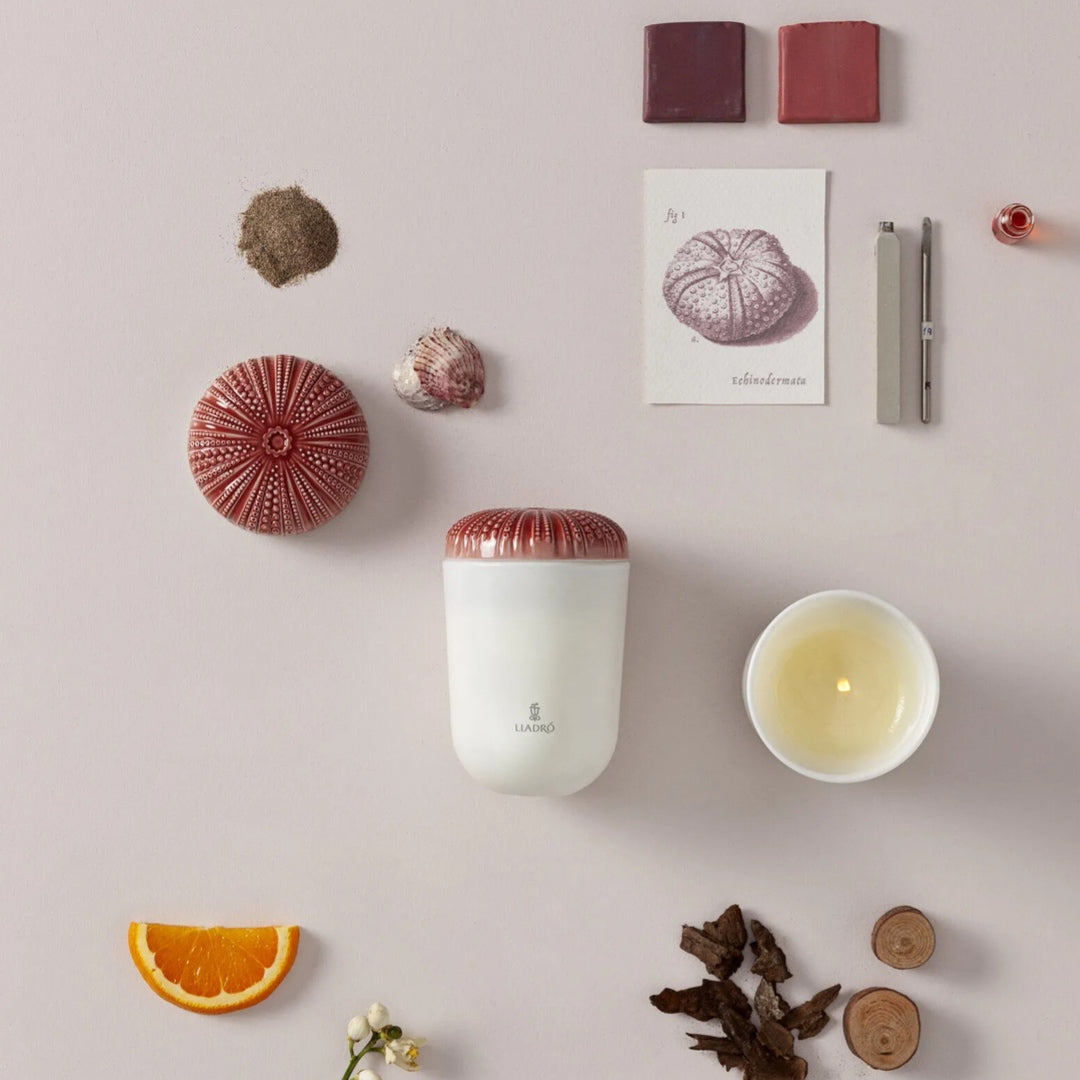 Lladró: Echoes of Nature Candle. Mediterranean Beach Scent.