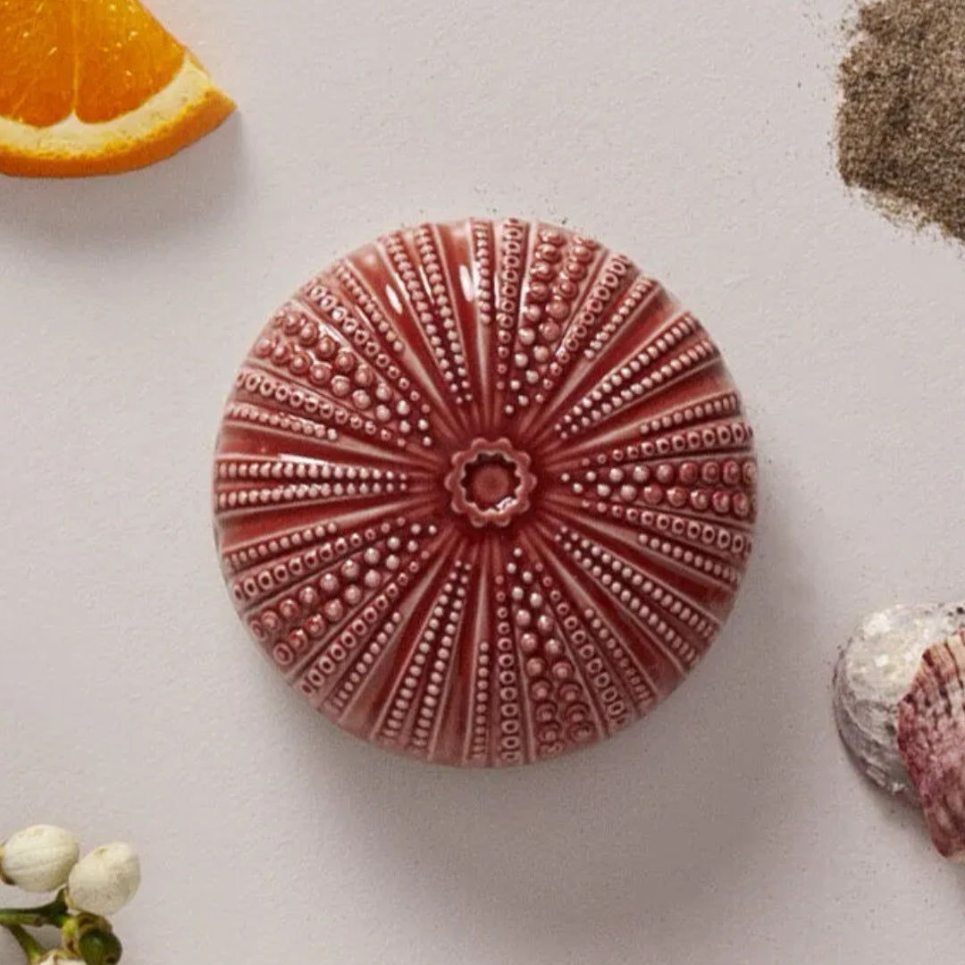 Lladró: Echoes of Nature Candle. Mediterranean Beach Scent.