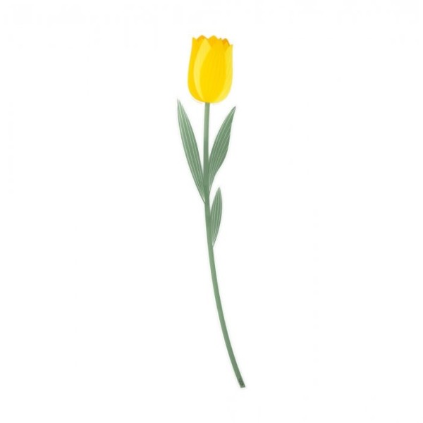 VESTA: FUNNY FLOWER TULIP LARGE