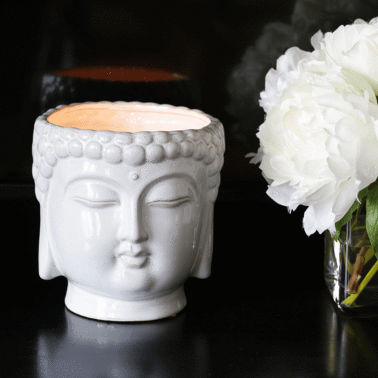 Thompson Ferrier Buddha White - Jasmine Lily
