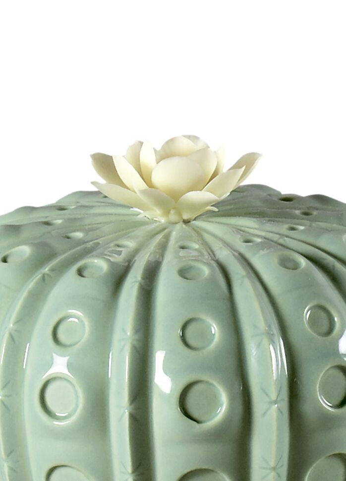 Lladró: Cactus Collection. Astrophytum Cactus Fragance Diffuser