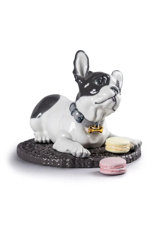 Lladró: French Bulldog with Macarons Dog Figurine