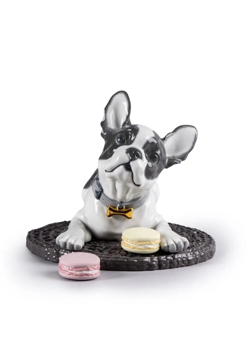 Lladró: French Bulldog with Macarons Dog Figurine