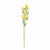 VESTA: FUNNY FLOWER MIMOSA SMALL