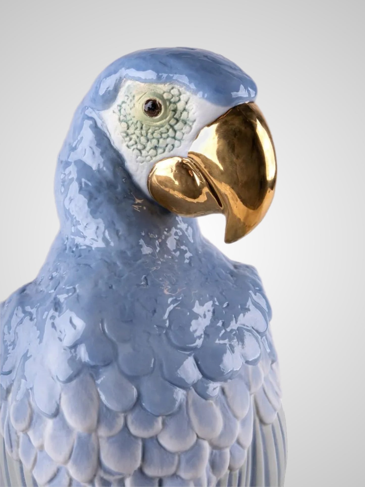 Lladró: Macaw Bird Vase