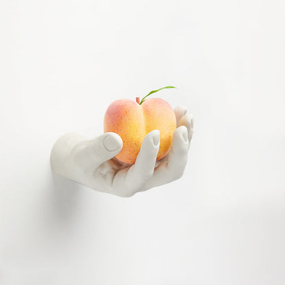 Areaware - Reality Hand Hook Grab
