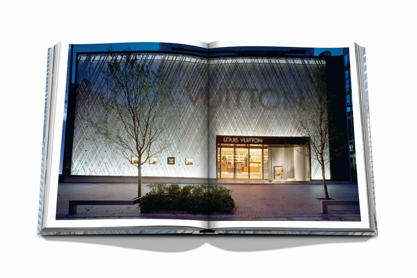Assouline: Louis Vuitton Skin: Architecture of Luxury (New York Edition)