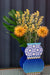 VESTA: FUNNY FLOWER MIMOSA SMALL