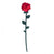 VESTA: FUNNY FLOWER ROSE SMALL