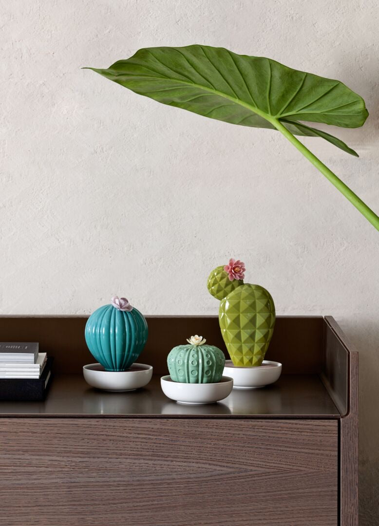 Lladró: Cactus Collection. Astrophytum Cactus Fragance Diffuser